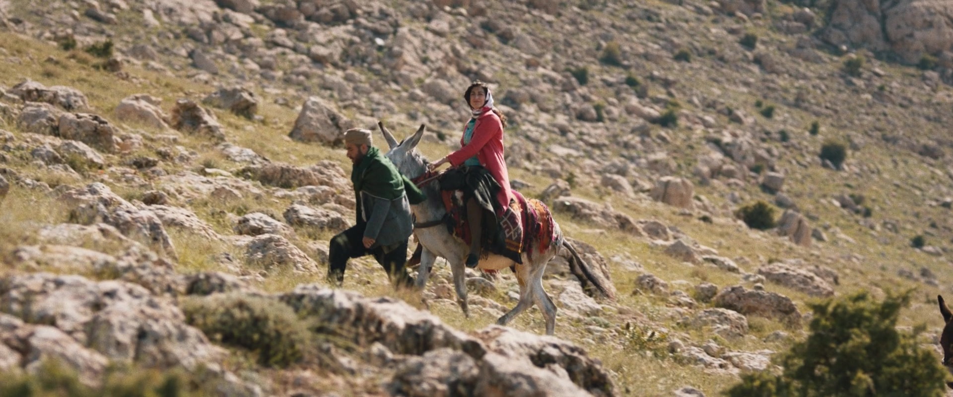 The Persian Version (2023), wide, 2.40:1 — film still