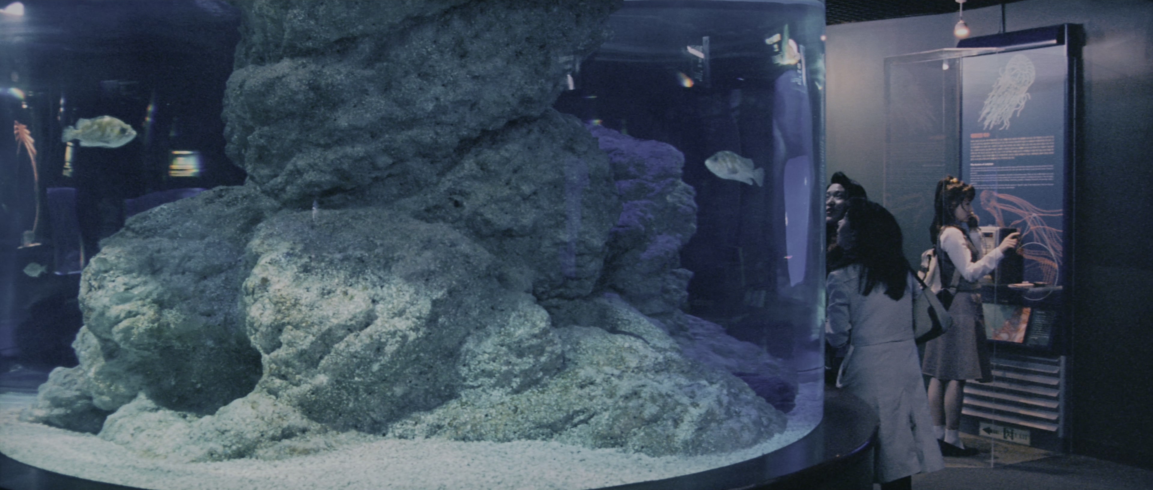 Chinjeolhan Geumjassi (2005), wide, 2.35:1 — film still