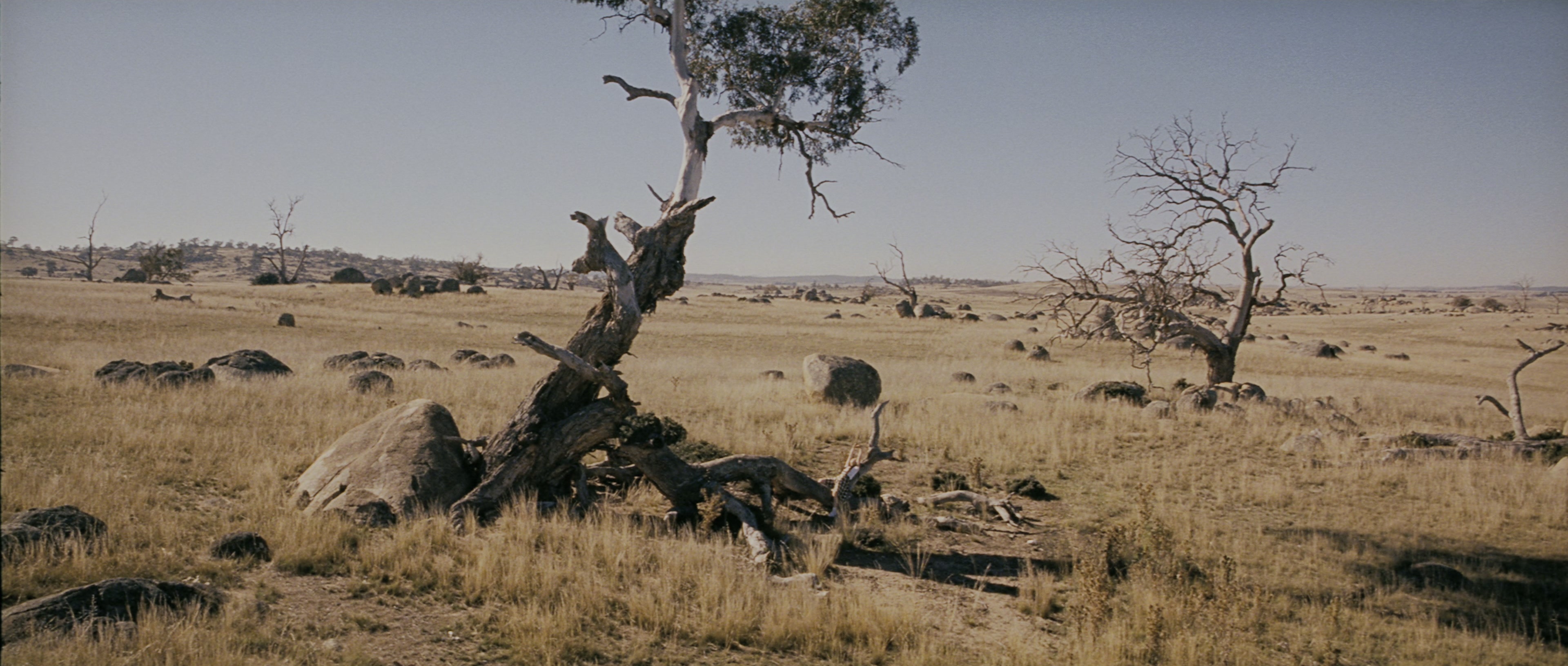 Chinjeolhan Geumjassi (2005), wide, 2.35:1 — film still