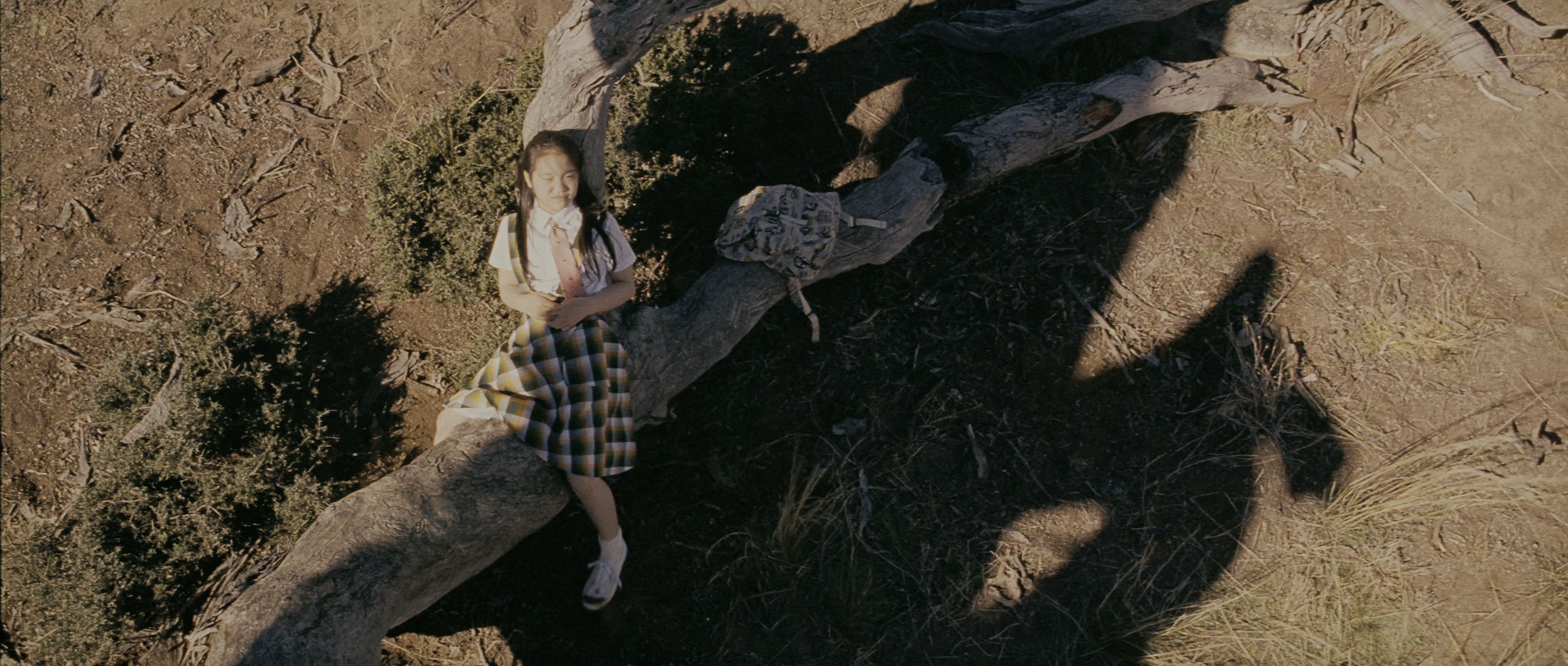 Chinjeolhan Geumjassi (2005), wide, 2.35:1 — film still