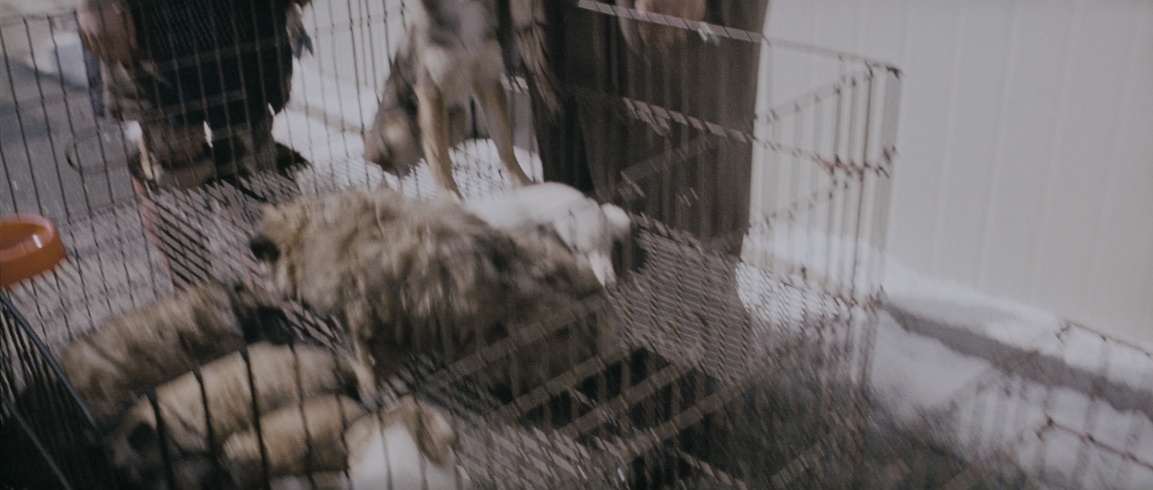 Chinjeolhan Geumjassi (2005), wide, 2.35:1 — film still
