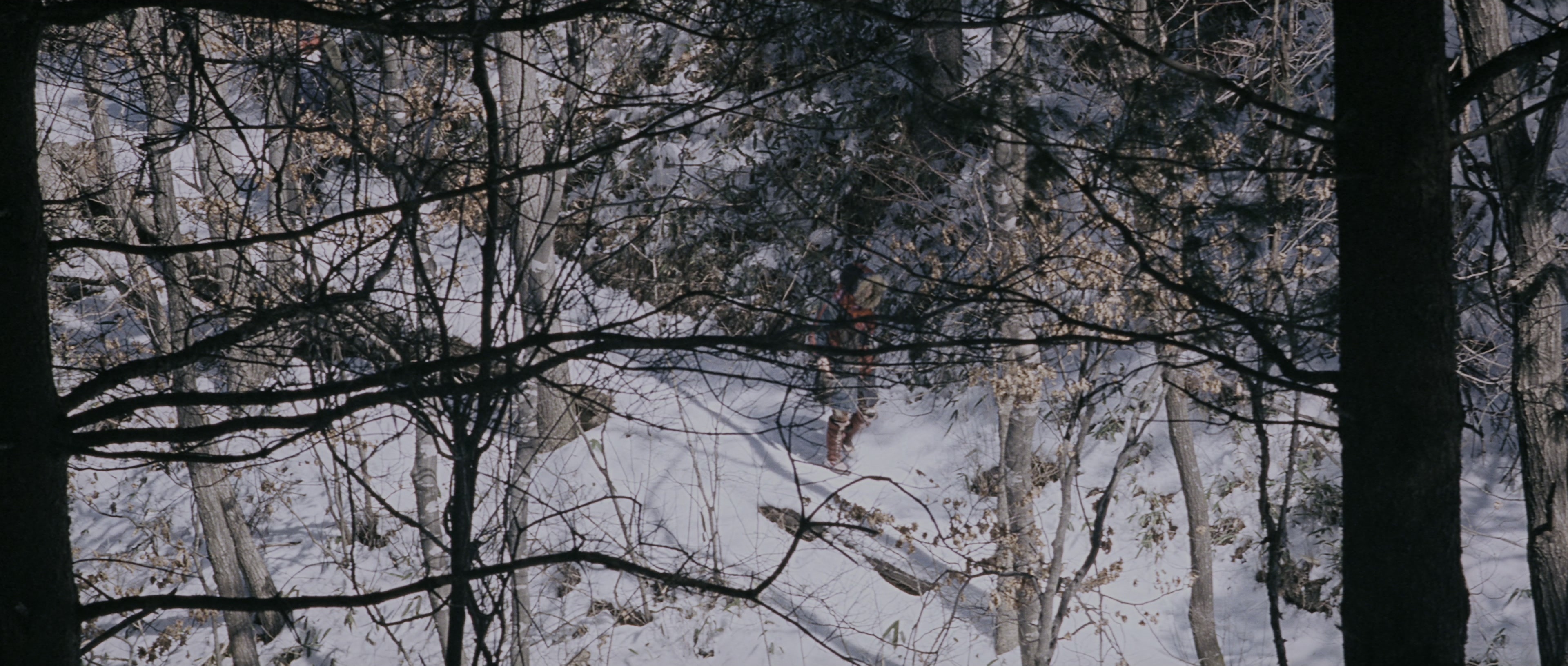 Chinjeolhan Geumjassi (2005), wide, 2.35:1 — film still