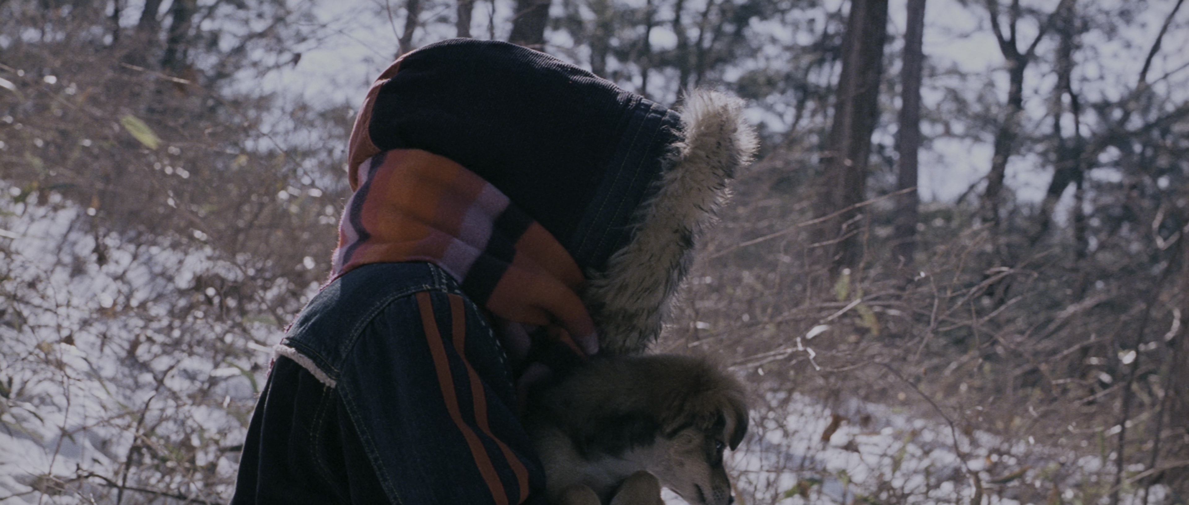Chinjeolhan Geumjassi (2005), wide, 2.35:1 — film still
