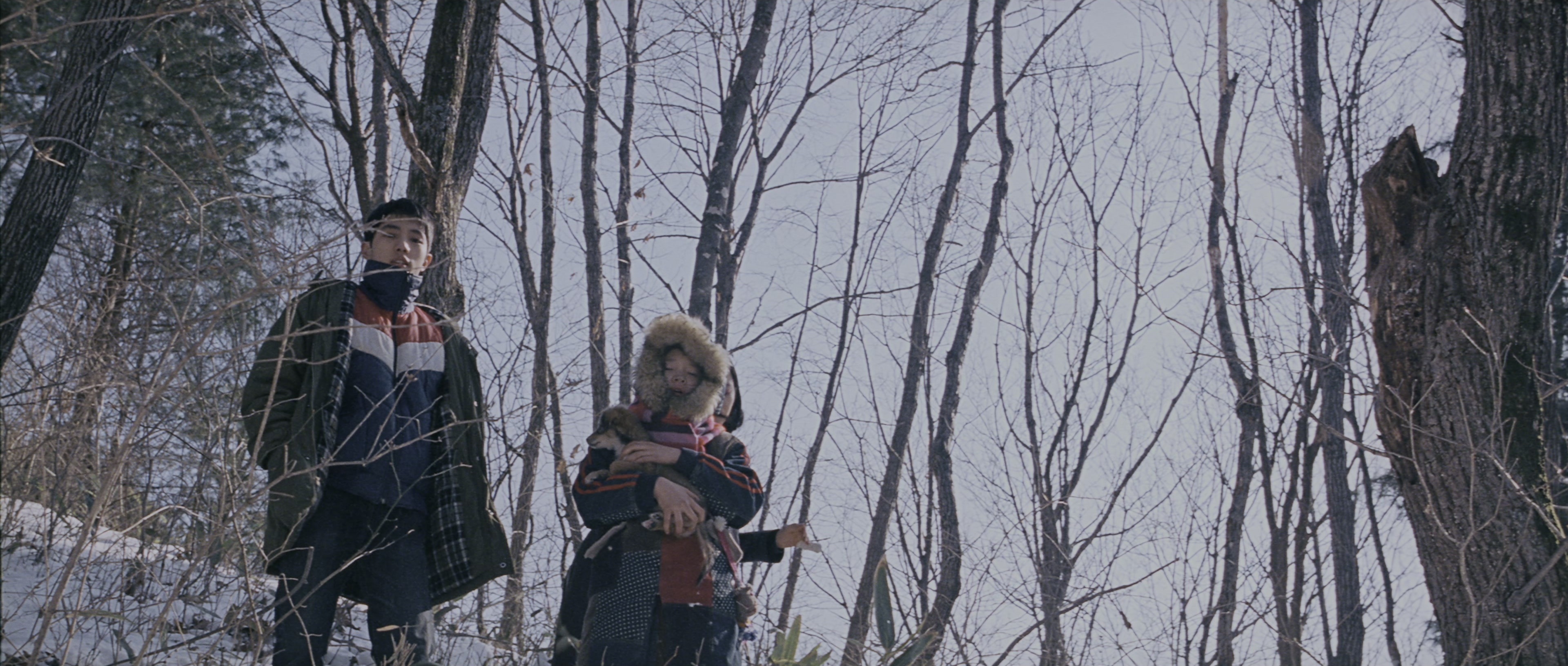 Chinjeolhan Geumjassi (2005), wide, 2.35:1 — film still