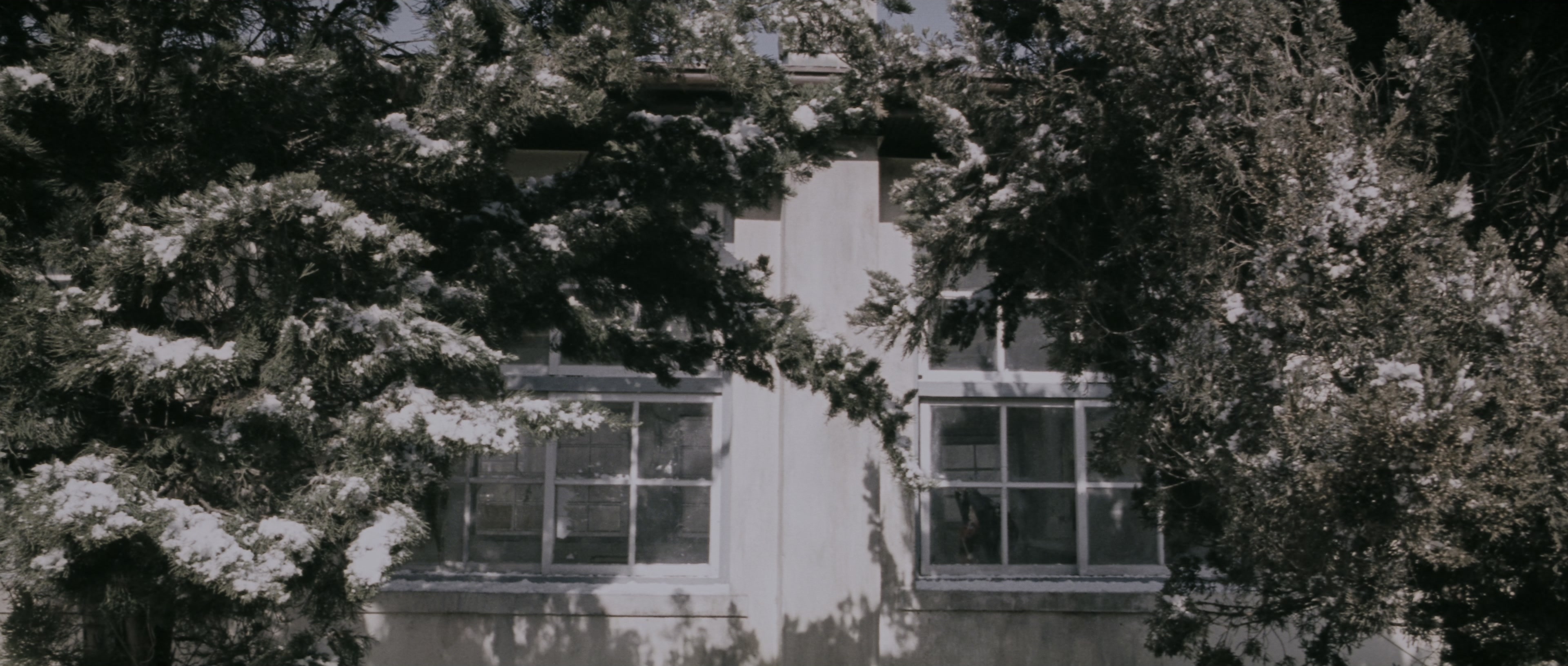 Chinjeolhan Geumjassi (2005), wide, 2.35:1 — film still