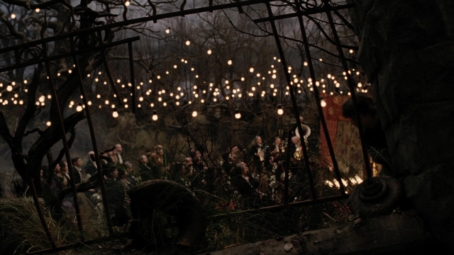 seria-11261.jpg
