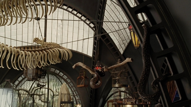 Wide shot frame from A Series of Unfortunate Events — room, glass, dinosaur