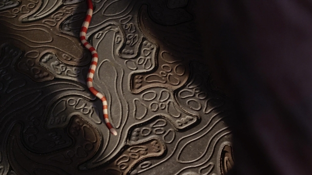 Wide shot frame from A Series of Unfortunate Events — snake