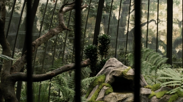 Wide shot frame from A Series of Unfortunate Events — forest, flowerpot