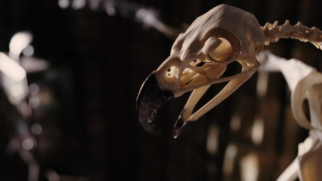 Wide shot frame from A Series of Unfortunate Events — room, bird, skull