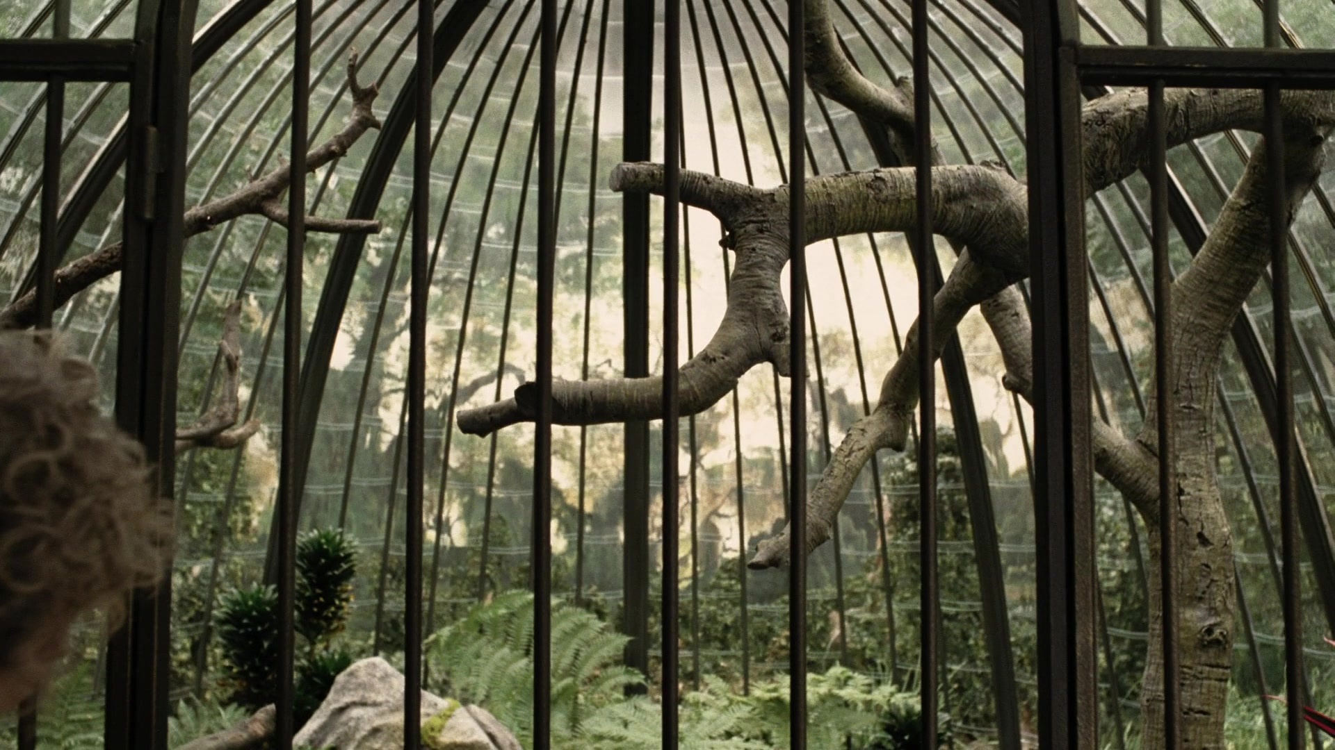 A Series of Unfortunate Events (2004), wide, 1.78:1 — film still