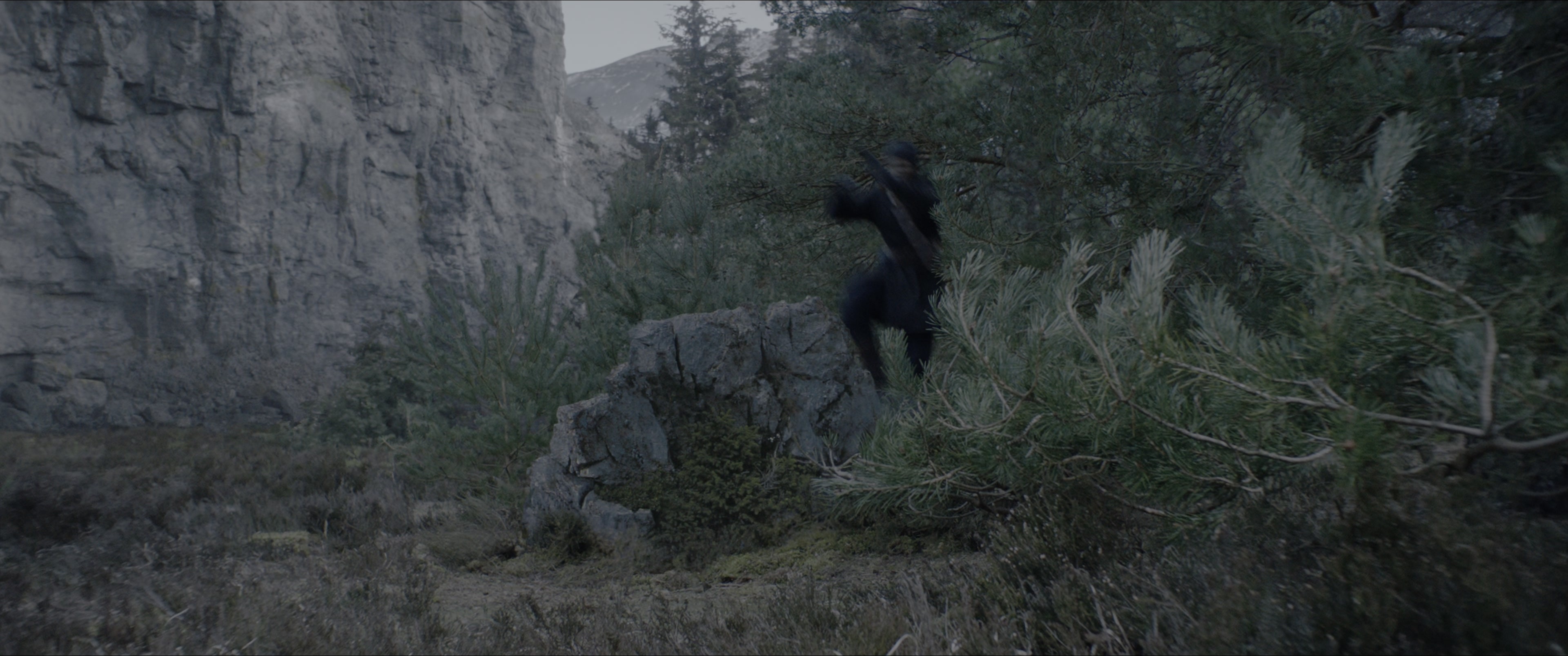 The King's Man (2021), wide, 2.39:1 — film still