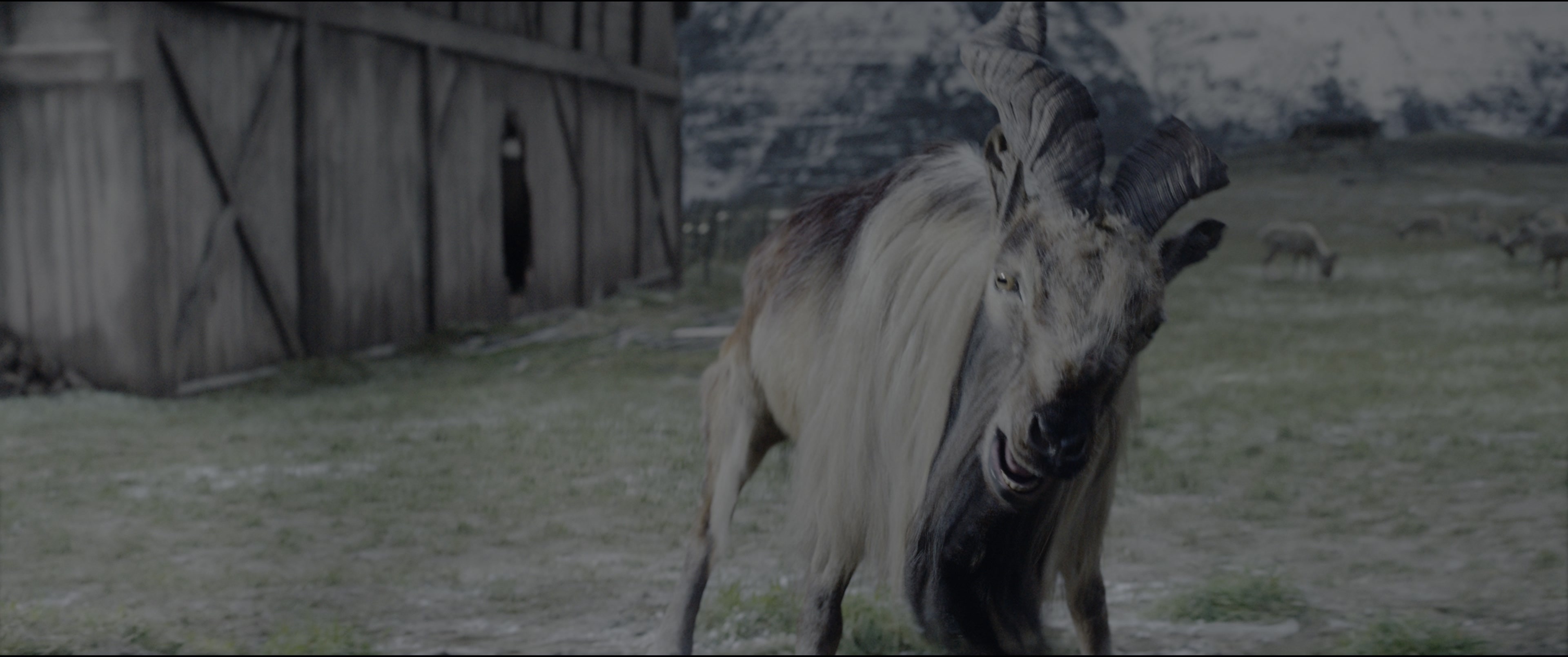 The King's Man (2021), wide, 2.39:1 — film still