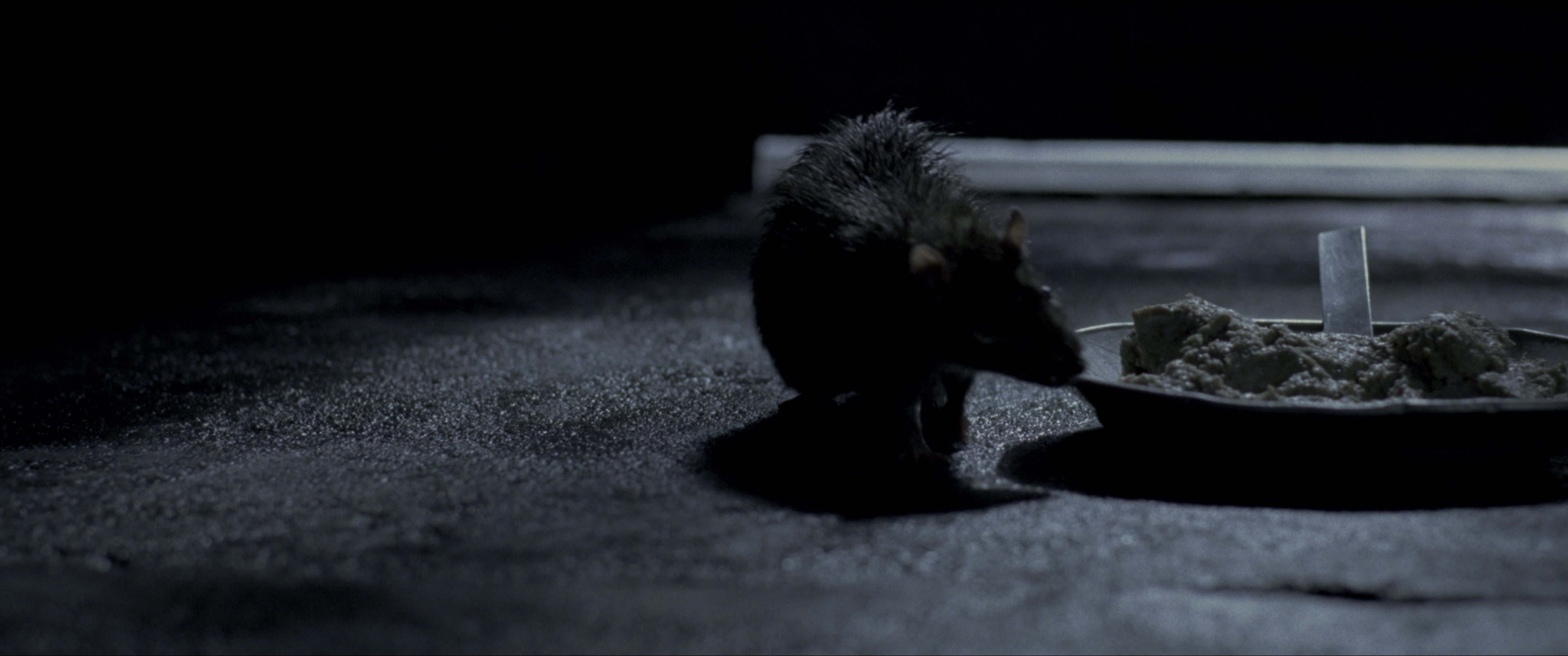 V for Vendetta (2006), wide, 2.39:1 — film still