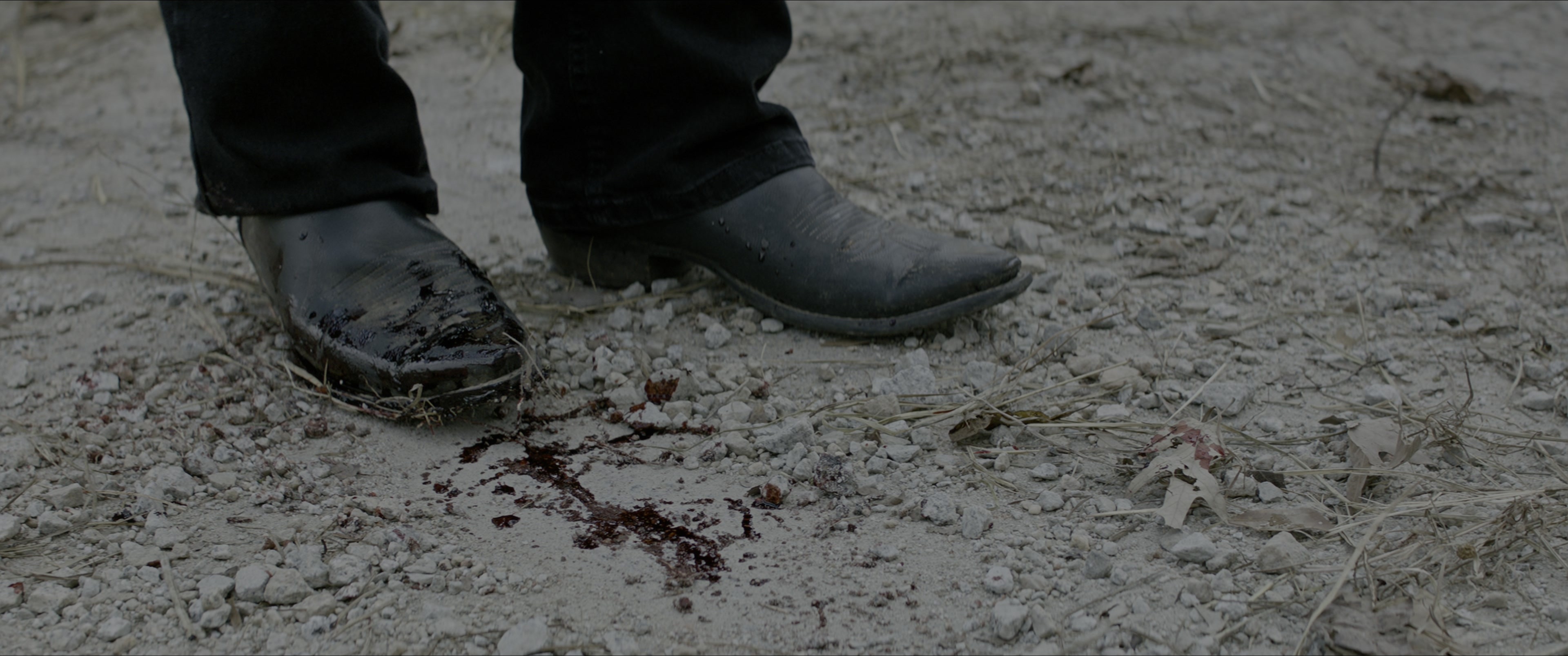 Zombieland: Double Tap (2019), wide, 2.39:1 — film still