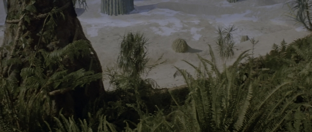 Wide shot frame from Star Trek III: The Search for Spock — palm tree