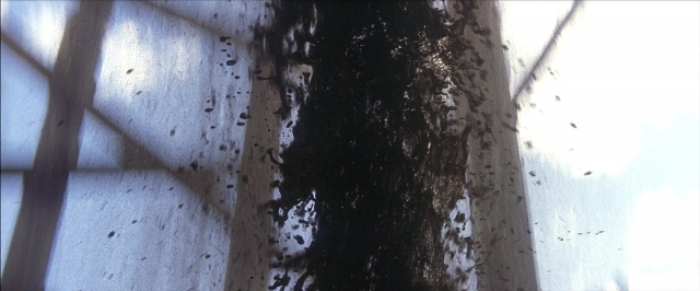 Frame from There Will Be Blood — water, window