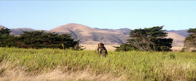 Frame from There Will Be Blood — walking, hat, person