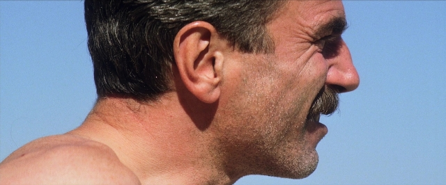 seria-6036655.jpg