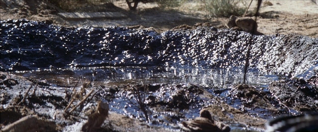 Wide shot frame from There Will Be Blood — animal, water