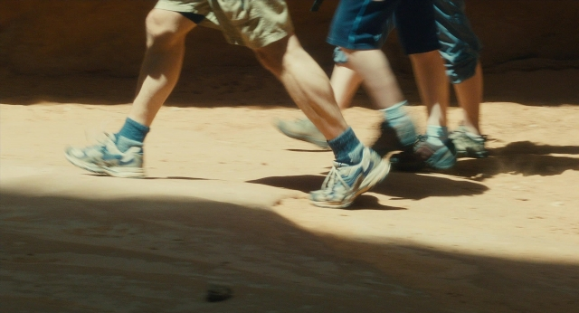 seria-157449.jpg