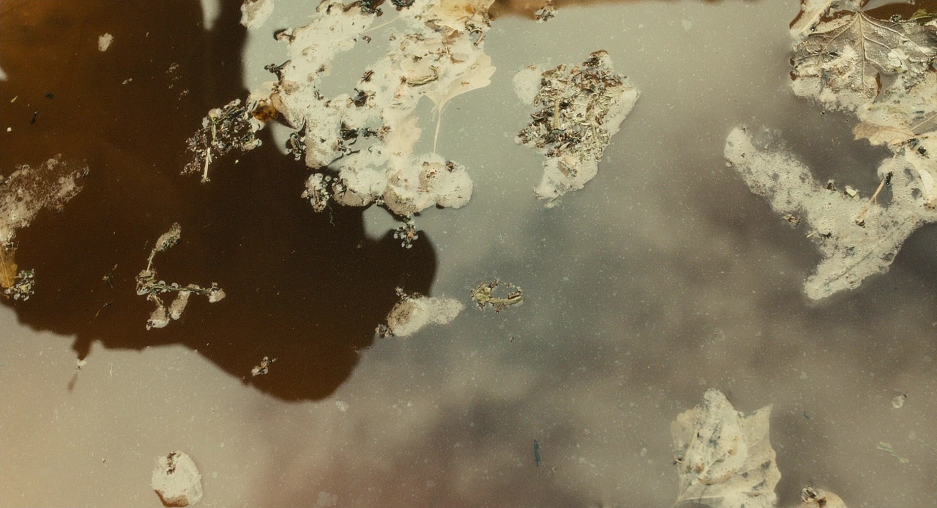 127 Hours (2010), wide, 1.85:1 — film still