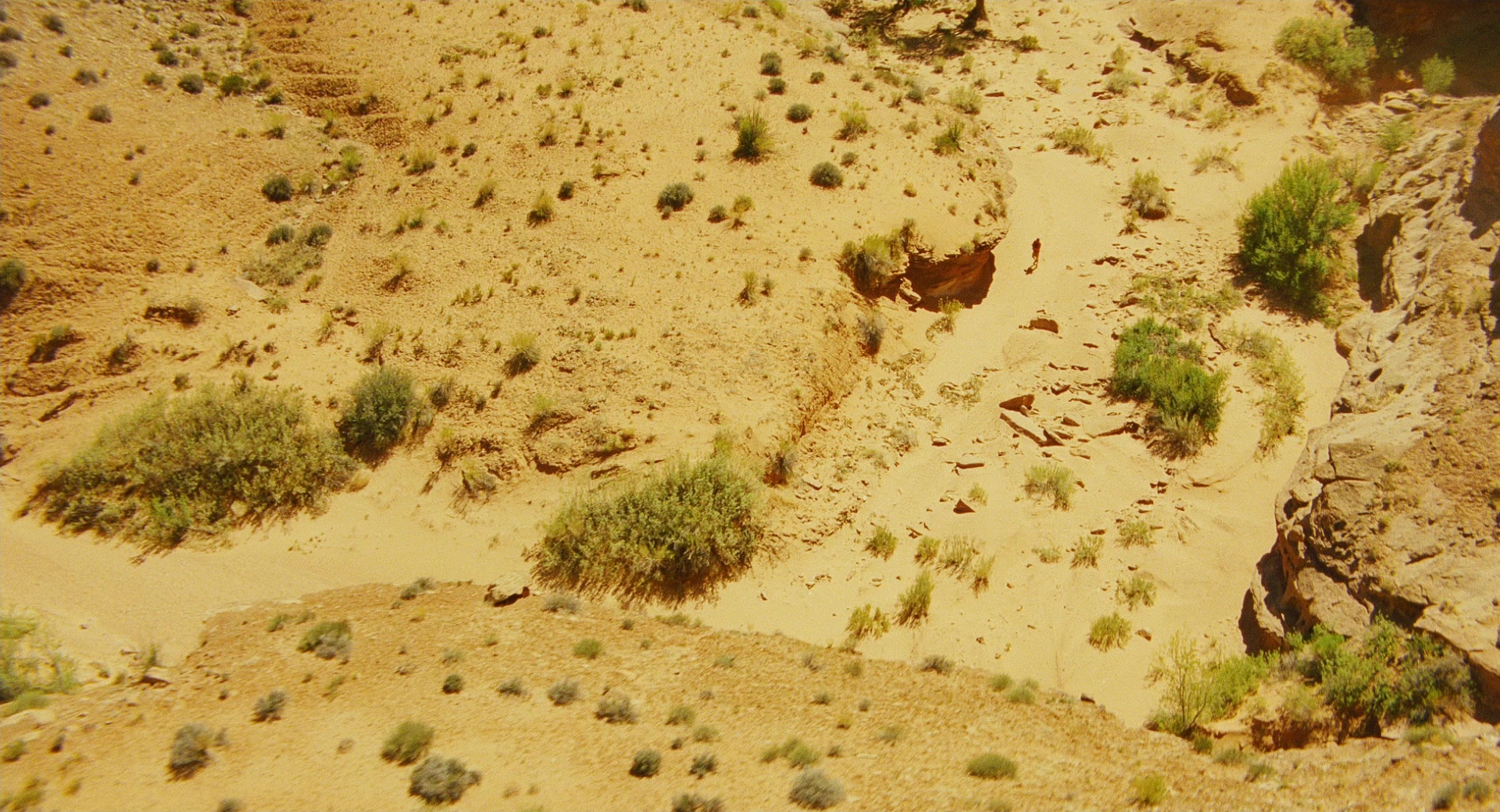 127 Hours (2010), wide, 1.85:1 — film still