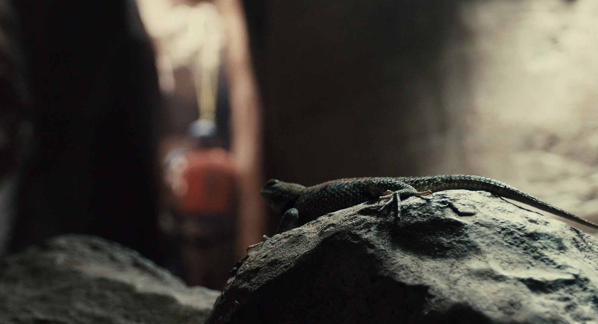 127 Hours (2010), wide, 1.85:1 — film still