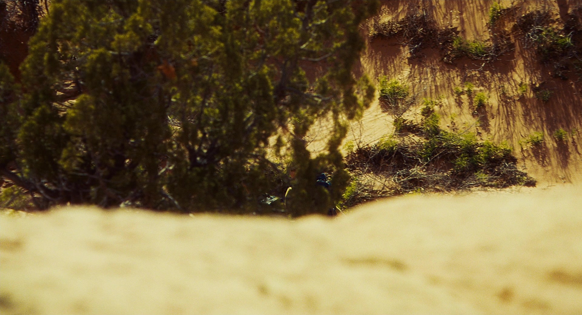 127 Hours (2010), wide, 1.85:1 — film still