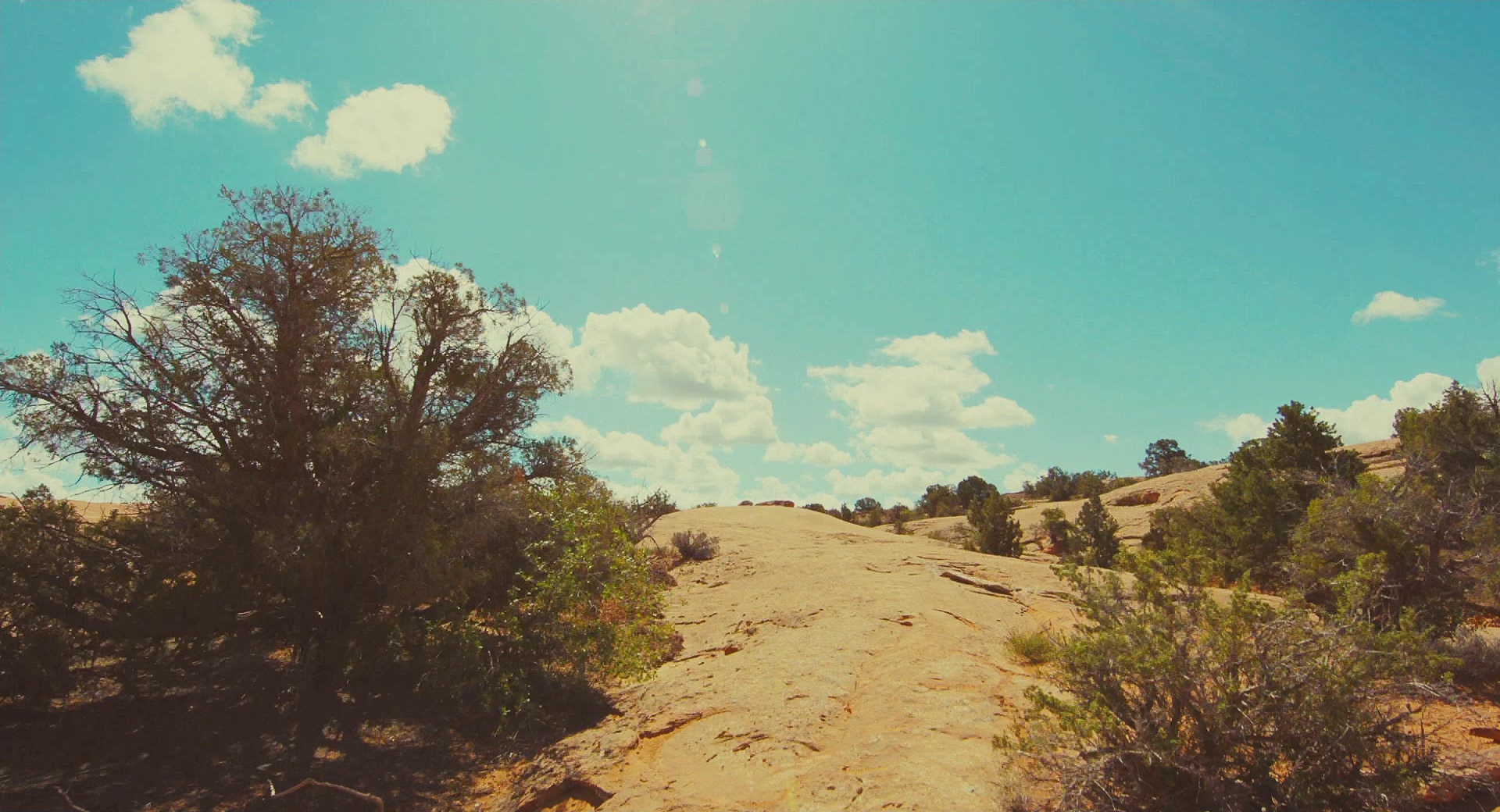 127 Hours (2010), unknown, 1.85:1 — film still