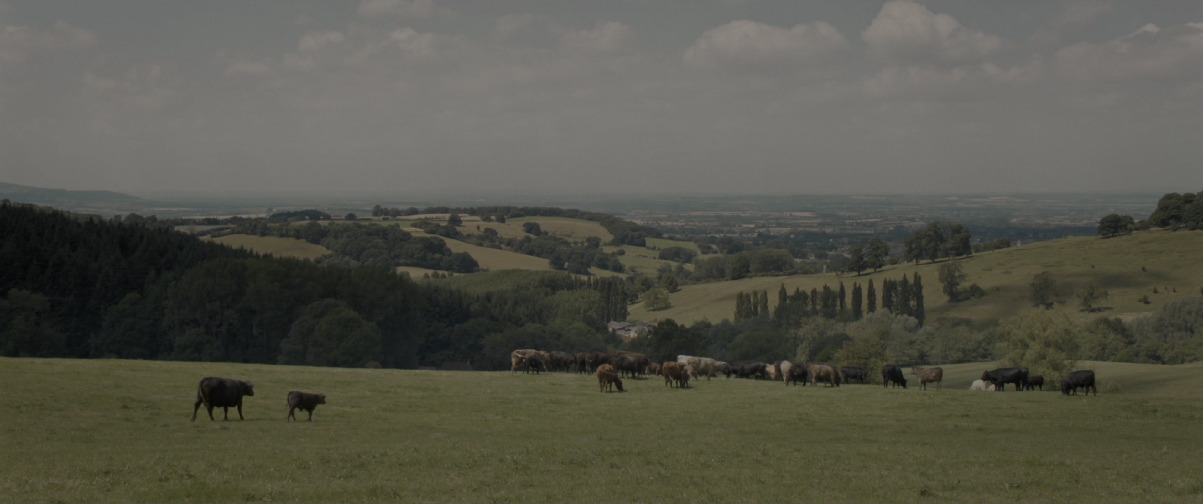 Bohemian Rhapsody (2018), wide, 2.39:1 — film still