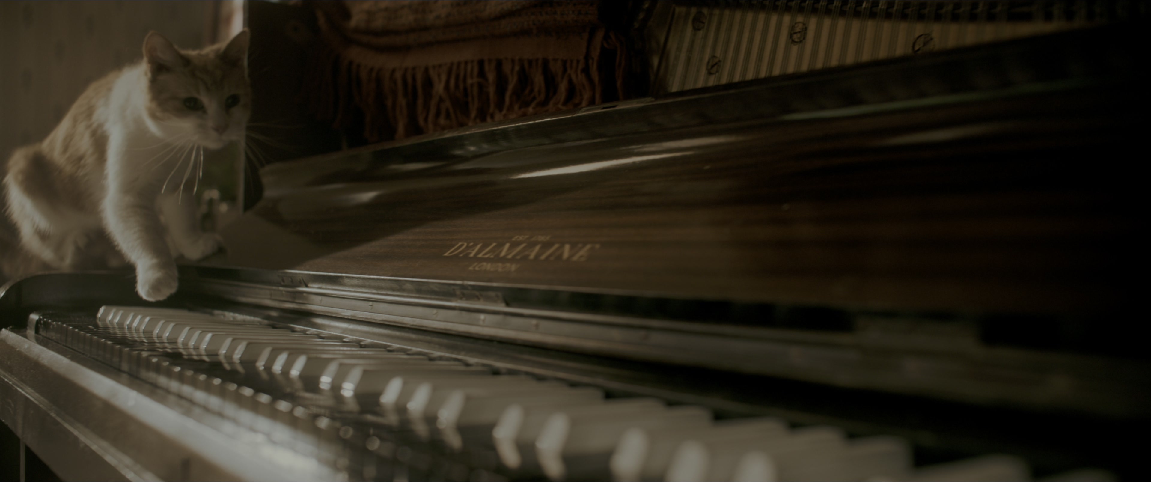 Bohemian Rhapsody (2018), wide, 2.39:1 — film still