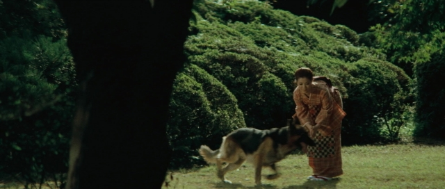 Wide shot frame from Kyôfu kikei ningen: Edogawa Rampo zenshû — walking, dog, coat