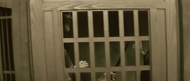 seria-198532.jpg