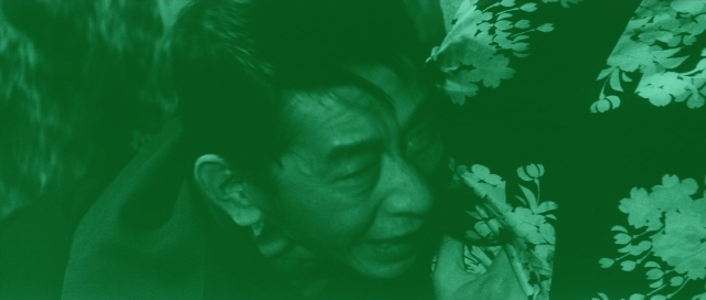 seria-206247.jpg