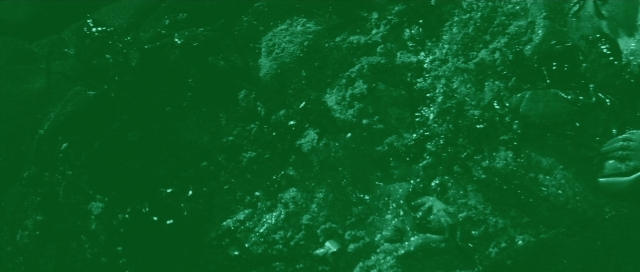 seria-291124.jpg