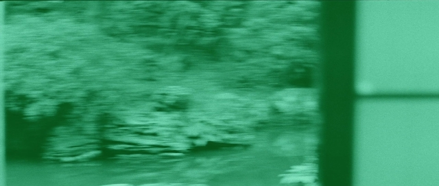 seria-29195.jpg