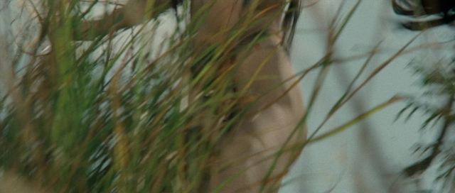 seria-314272.jpg