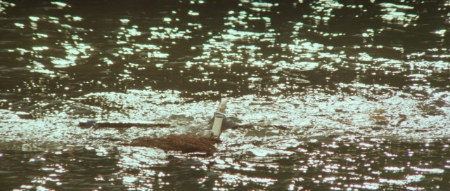 Frame from Kyôfu kikei ningen: Edogawa Rampo zenshû — mirror, water, boat