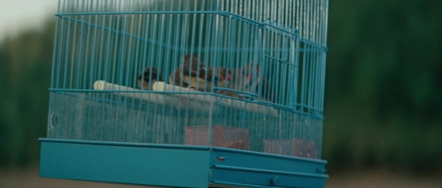 Wide shot frame from Kyôfu kikei ningen: Edogawa Rampo zenshû — sitting, bird, birdcage