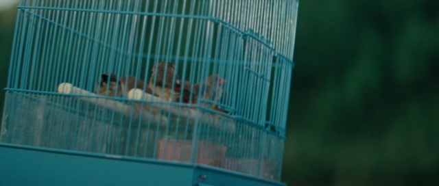 Wide shot frame from Kyôfu kikei ningen: Edogawa Rampo zenshû — sitting, bird