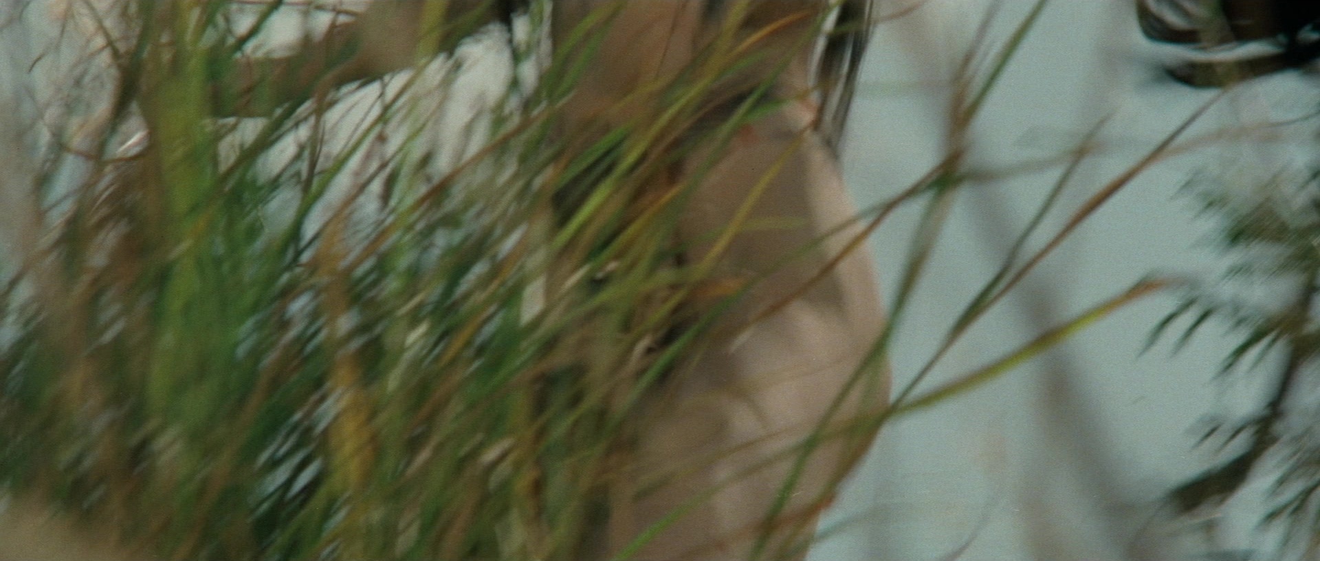 Kyôfu kikei ningen: Edogawa Rampo zenshû (1969), unknown, 2.35:1 — film still