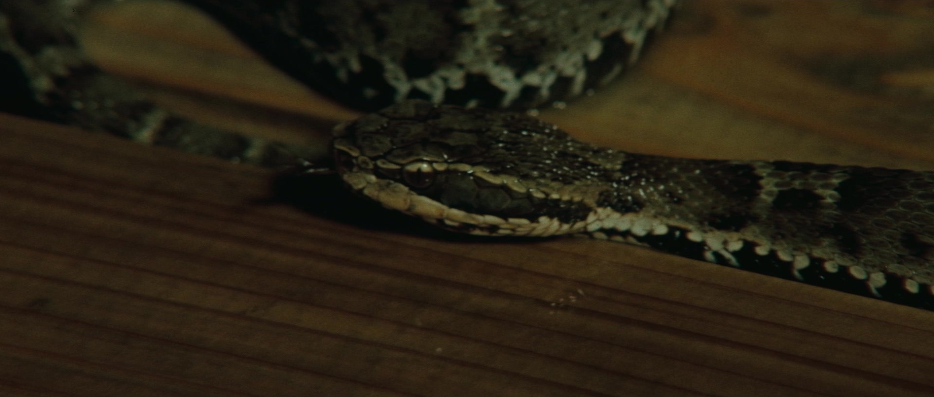 Kyôfu kikei ningen: Edogawa Rampo zenshû (1969), unknown, 2.35:1 — film still