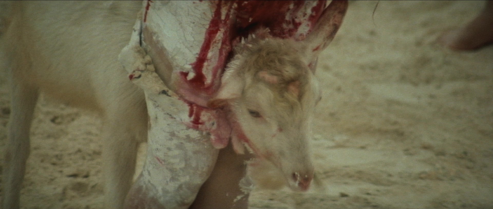 Kyôfu kikei ningen: Edogawa Rampo zenshû (1969), wide, 2.35:1 — film still