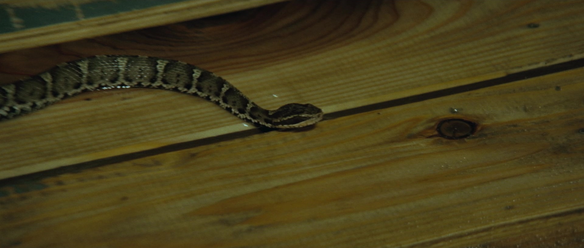 Kyôfu kikei ningen: Edogawa Rampo zenshû (1969), unknown, 2.35:1 — film still