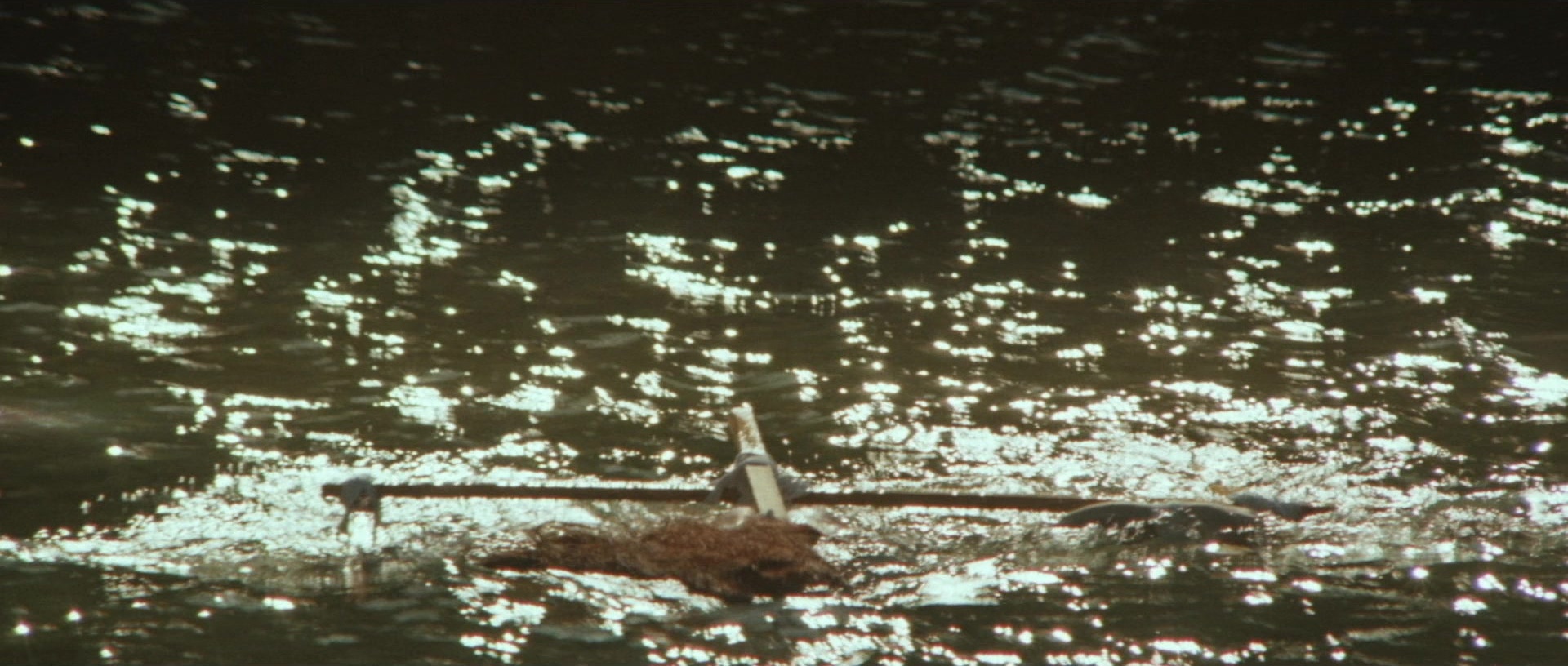 Kyôfu kikei ningen: Edogawa Rampo zenshû (1969), unknown, 2.35:1 — film still