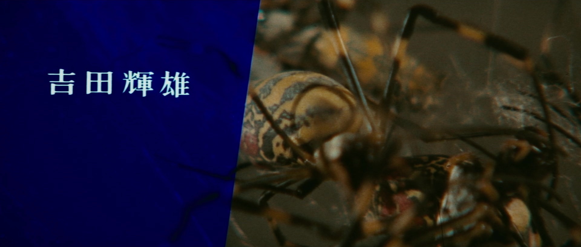 Kyôfu kikei ningen: Edogawa Rampo zenshû (1969), wide, 2.35:1 — film still