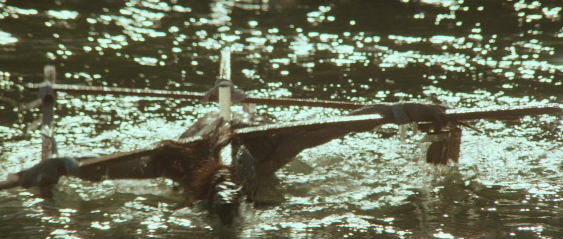 Kyôfu kikei ningen: Edogawa Rampo zenshû (1969), wide, 2.35:1 — film still