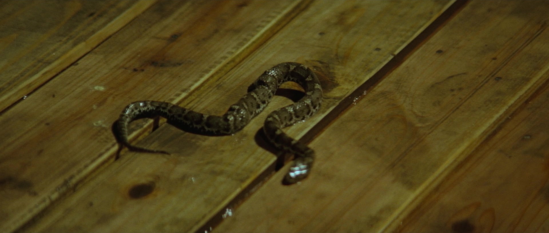 Kyôfu kikei ningen: Edogawa Rampo zenshû (1969), unknown, 2.35:1 — film still