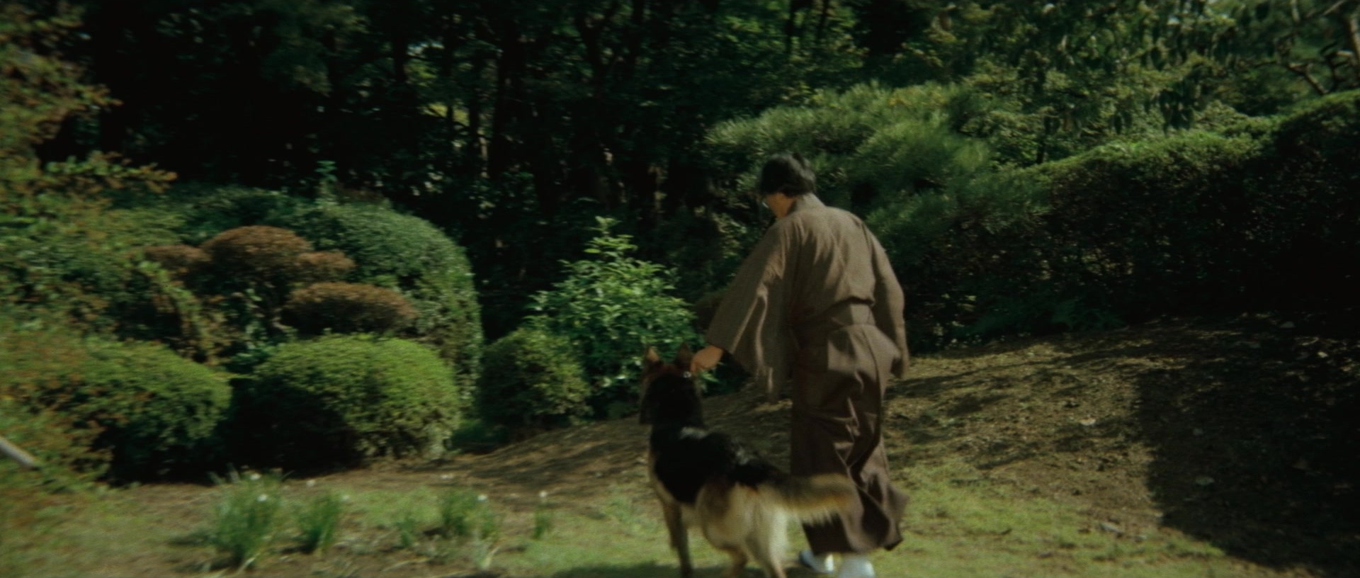 Kyôfu kikei ningen: Edogawa Rampo zenshû (1969), wide, 2.35:1 — film still